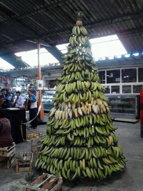 Banana Christmas Tree !!! Only in Puerto Rico Christmas In Puerto Rico, Puerto Rican Christmas, Tree Monkey, Caribbean Christmas, Unusual Christmas Trees, Puerto Rican Pride, Puerto Rican Culture, Tropical Christmas, Unique Christmas Trees