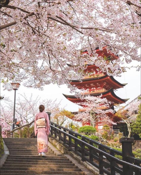 Japanese Vacation, Japanese Club, Chinese Photoshoot, Cherry Blossom Photography, Vacation Mood Board, Spring Outfits Japan, Spring Kimono, Blossom Pictures, Travel Manifestation