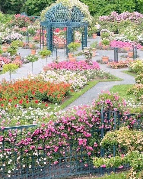 @pictures_of_newyork on Instagram: "Escape the city and enter a world of natural wonder at the New York Botanical Garden, where beauty blooms all year round 😍 💡 The NYBG features a diverse collection of plants from around the world, with over one million living specimens, many of which are rare and endangered. Visitors can explore 50 different gardens and plant collections, including the Native Plant Garden, the Rose Garden, and the Perennial Garden. 👉🏻Have you ever been to NYBG? Share with Native Plant Garden, New York Botanical Garden, Gardens Of The World, Famous Gardens, Native Plant Gardening, Plant Garden, Island Ideas, Garden Photography, Botanic Gardens