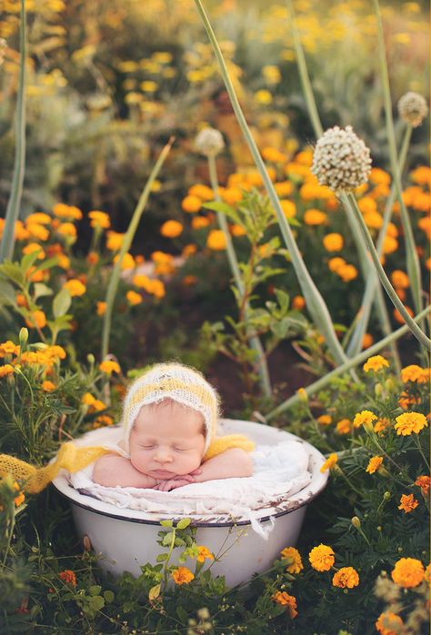 Oh my! I would die for a flower garden like this by my house!! Love this newborn pic!  Erin Tole Photography credit Newborn Wildflower Photoshoot, Newborn Garden Photoshoot, Outdoor Newborn Photos, Photoshoot Garden, Outdoor Baby Photography, Outdoor Newborn Photography, Diy Newborn Photography, Foto Newborn, Newborn Photo Session