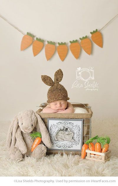 Easter Shoot, Baby Easter Pictures, Carrot Garland, Newborn Easter, Easter Baby Photos, Easter Bunting, Easter Mini Session, Easter Photography, Easter Photoshoot