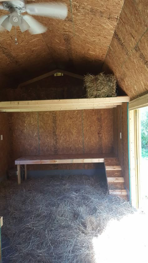 Old hay for bedding with fresh hay stored for feed Feed Shed Ideas, Goat Projects, Diy Hay Feeder, Hay Shed, 4h Goats, Goat Hay Feeder, Goat Life, Goat Ideas, Sheep Barn