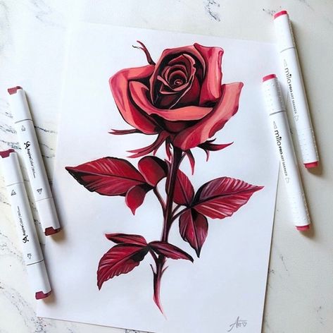 Gorgeous Ombré Rose Drawing from @andrianas_art using a variety of materials. Thank you, Andriana! . #rose #aspirecolor #artlove #marker #art #drawing #sketch #artist #artwork #pen #artistsoninstagram #markers #markerart #instaart #design #sketching #color #markerdrawing Flower Marker Art, Alcohol Marker Drawings Flowers, Flowers Drawing Markers, Flowers With Alcohol Markers, Rose Marker Drawing, Alcohol Markers Flowers, Realistic Flower Drawing, Blending Markers, Prismacolor Drawing