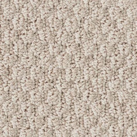 STAINMASTER Essentials Balboa Park Coastal Littoral Multi-level Loop Carpet (Interior) in the Carpet department at Lowes.com Interior Carpet, Loop Carpet, Commercial Carpet Tiles, A Life Well Lived, Shaw Carpet, Textured Carpet, Urine Stains, Carpet Samples, Carpet Padding