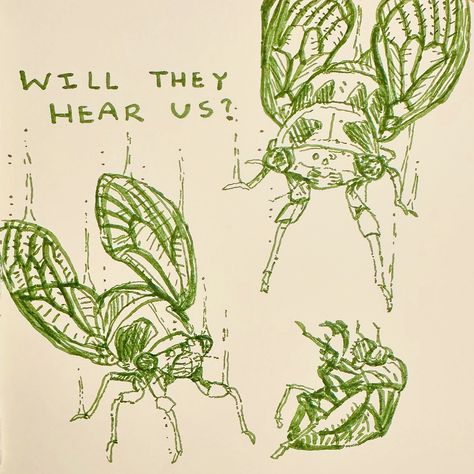 Been thinking about cicadas, doodles, and my new green pen . . . . . . #sketch #doodle #sketchbook #cicada #insectart #artistsoninstagram #inkart #artistsupport #broodxix #broodxiii #bioart Sketchbook Covers Ideas, Simple Cicada Drawing, Cicada Life Cycle, Cicada Wings Drawing, Cicada Character Design, Cicada Aesthetic, Cicada Drawing, Cicada Reference, Cicada Drawing Illustration