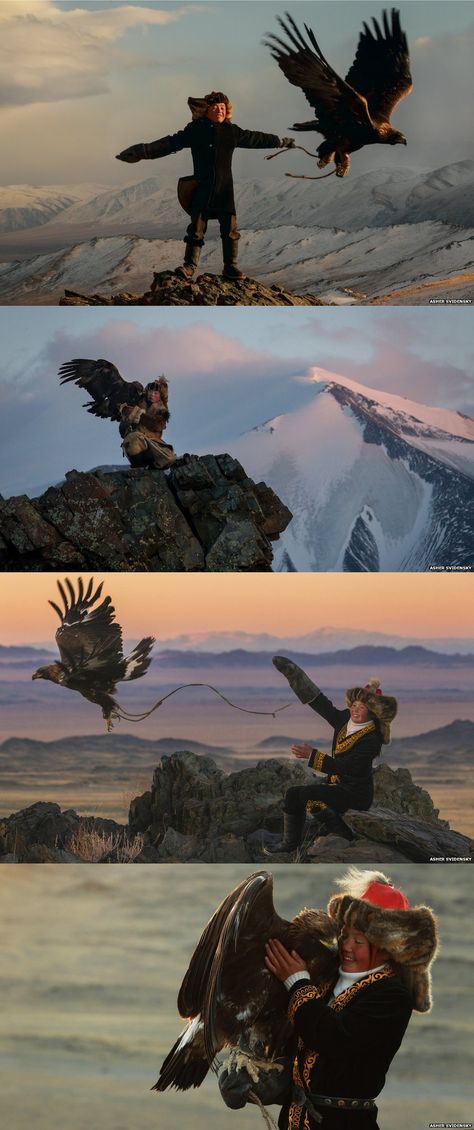 The Kazakhs of the Altai mountain range in western Mongolia are the only people that hunt with golden eagles, and today there are around 400 practising falconers. Ashol-Pan, the daughter of a particularly celebrated hunter, may well be the country's only apprentice huntress. Eagle Huntress, Robin Birds, Eagle Hunter, Altai Mountains, Golden Eagles, Clothing Reference, Winter Bird, Foto Art, Animal Totems