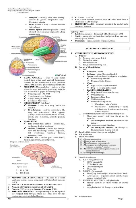 Neuro Nursing Behavioral Neuroscience Notes, Neurophysiology Notes, Neuro Assessment Nursing, Neuro Nursing Notes, Neuropsychology Notes, Nervous System Notes Aesthetic, Neuroanatomy Notes, Neuro Psychology, Neurology Notes