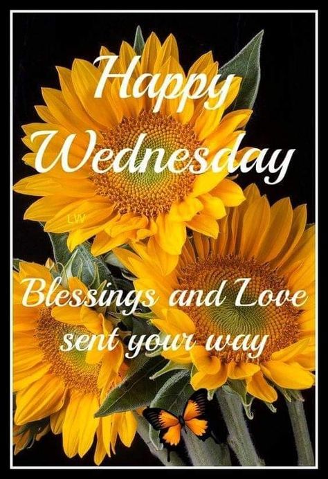 Wednesday Morning Quotes, Wednesday Greetings, Wednesday Wishes, Wednesday Blessings, In Loving Memory Quotes, Blessed Wednesday, Good Morning Wednesday, Sunflowers And Daisies, Wednesday Quotes