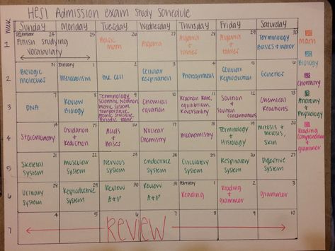 Hesi Study Schedule, Hesi A2 Study Schedule, Hesi A2 Study Guide Biology, Teas Exam Study Schedule, Hesi A2 Study Cheat Sheets, Hesi A2 Study Guide, Nursing Schedule, Hesi Exam, Teas 7