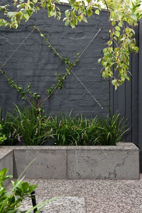 Black Garden Wall Ideas, Black Wall Garden, Black Garden Walls, Black Garden Wall, Accented Wall, Black Shed, Shed Makeover, Townhouse Garden, Garden Wall Designs