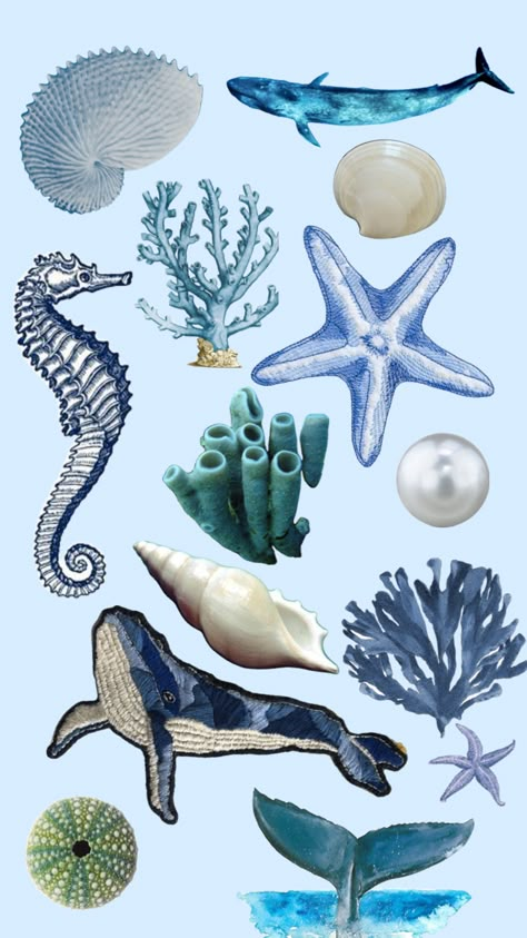 Blue Sea Life Aesthetic, Sea Stickers Aesthetic, Sea Scrapbook Ideas, Ocean Aesthetic Stickers, Ocean Stickers Printable, Ocean Aesthetic Collage, Ocean Animals Aesthetic, Sea Stickers Ocean, Blue Scrapbook Ideas