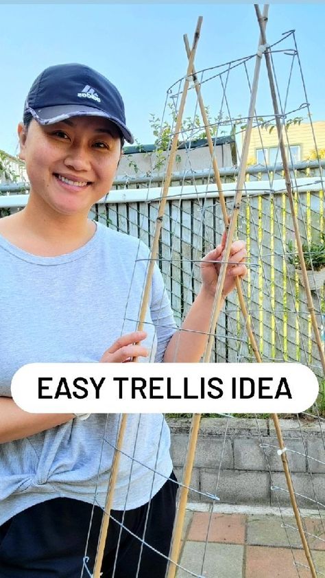 gardenwithjulia on Instagram: I'll be using this trellis to grow cucumbers this season. ✅Materials used: -5 feet tall welded wire fencing, cut to 10 inches in width… Garden Trellis Ideas Diy Cucumber, Zucchini Garden Vertical Trellis Ideas, Diy Wire Plant Trellis, Wire Hanger Trellis, Diy Wire Trellis For Potted Plants, Grow Cucumbers, Wire Fencing, Edible Gardens, Bamboo Poles