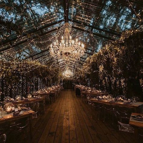 Forest Theme Wedding, Wedding Venues Indoor, Enchanted Forest Wedding, Dream Wedding Venues, Dark Wedding, Wedding Venue Inspiration, Fantasy Wedding, Future Wedding Plans, Wedding Goals