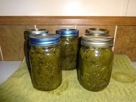 Canning Collard Greens Recipe, Canning Collard Greens, Canned Collard Greens Recipe, Stop Existing And Start Living, Working Pantry, Collard Greens Recipe, Pressure Canning Recipes, Home Canning Recipes, Meat Seasoning