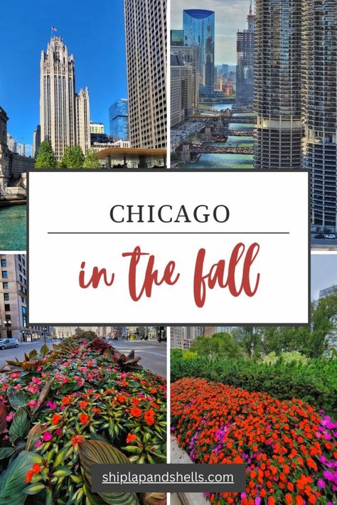 Have you ever been to Chicago in the fall? I can't wait to share my early fall visit to Chicago and why I felt it was the perfect time to experience everything there was to see in the famous Windy City. Chicago In October, Chicago In The Fall, Fall In Chicago, Lincoln Park Zoo Chicago, Chicago Fall, Chicago Weekend, Chicago Vacation, Chicago Riverwalk, Visit Chicago