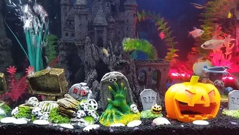 Spooky Halloween Aquarium Decorations And Setup Guide Halloween Fish Tank, Large Fish Tanks, Goldfish Aquarium, Fish Aquarium Decorations, Fish Tank Themes, Goldfish Tank, Cool Fish Tanks, Diy Fish Tank, Mini Aquarium