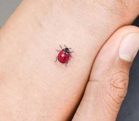 Ladybird Tattoo, Ladybug Tattoo, Maching Tattoos, Nice Tattoos, Lady Bug Tattoo, Insect Tattoo, Bug Tattoo, Tasteful Tattoos, Tatuaje A Color