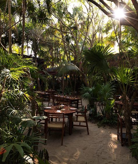 the restaurant takes cues from the rich mexican culture where additionally, the architects designed the accompanying dining furniture. Forest Restaurant, Greenhouse Restaurant, Greenhouse Cafe, Forest Cafe, Coffee Shop Concept, Cafe Exterior, Outdoor Restaurant Design, Jungle Gardens, Restaurant Patio