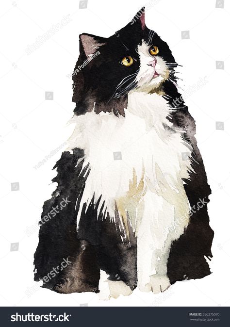 White Cat Christmas, Cat Christmas Cards, Cat Watercolor, Wooly Hats, Cat Christmas Gift, Cat Stock, Tuxedo Black, Black And White Cat, Watercolor Cat