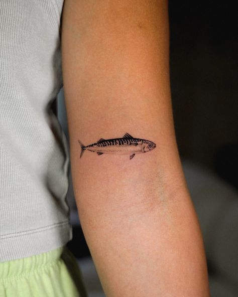 Tiny little Mackerel for Ayala! . . #microrealism #tinytattoos #mackerel #fishtattoo #finelinetattoo #singleneedletattoo Mackerel Tattoo, Fish Tattoo Women, Trout Tattoo, Mackerel Fish, Single Needle Tattoo, Fish Tattoo, Ship Tattoo, Fine Line Tattoos, August 1