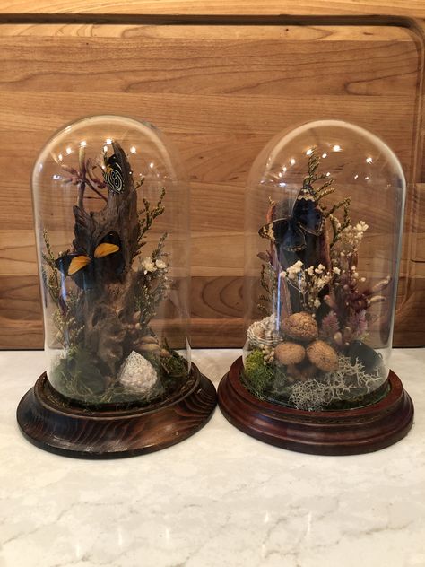 Find these glass garden cloche dome and others in store. See @Vintissima.decor for details Find beautiful home decor in our shop and see inventory @vintissima.decor Brandywine View Antiques Th-Sun 10-5 10k sq ft 1244 Baltimore Pike Chadds Ford, Pa 19317 Diy Cloche Ideas, Glass Dome Decor Ideas, Oddity Crafts, Bell Jar Decor, Trinket Wall, Cloche Art, Nature Terrarium, Entomology Decor, Garden Dome