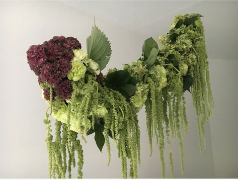 Amaranthus Installation, Hanging Flower Arrangements, Vertical Garden Plants, Ikebana Sogetsu, Plant Installation, Hydrangea Paniculata, Flower Installation, Weeping Willow, Amaranth