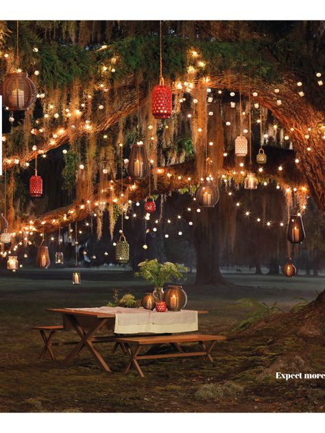 Hanging Lanterns In Trees, Hanging Lights Tree, Lanterns Hanging From Trees Wedding, Backyard Lanterns Hanging, Lantern Hanging From Tree, Fairy Lights In Trees Backyards, Tree With Lanterns, Tree Lanterns Hanging, Enchanted Backyard