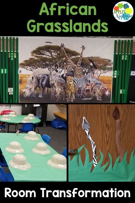 Room transformation complete with lesson plans for reading, writing, math, science, social studies, and STEM! African Grasslands, Lesson Plan Organization, My First Teacher, Geography Activities, Teachers Toolbox, Teaching Geography, 1st Grade Science, Animal Adaptations, First Grade Sight Words