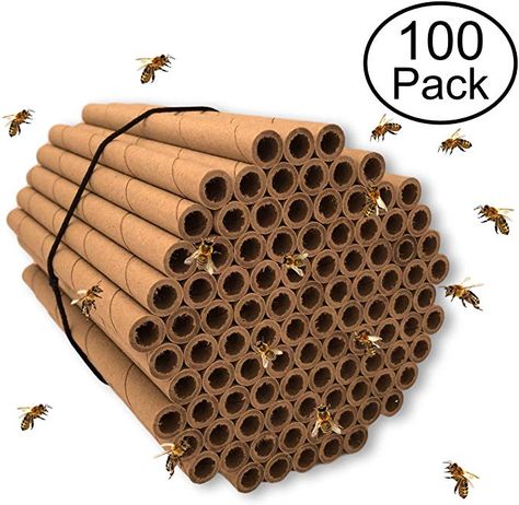 Amazon.com : Mason Bee Tubes | 100 Pack of 6 inch Long and 5/16 Inner Diameter Hole | Great Refills and Inserts for Bee Houses, Condos, Hotels, and Nests | Help Grow Your Garden in No Time With The Best Helpers : Garden & Outdoor Bee Paper, Mason Bee House, Bee Houses, Bee Hotel, Solitary Bees, Mason Bees, Bee House, Garden Farm, Bee Keeping Supplies