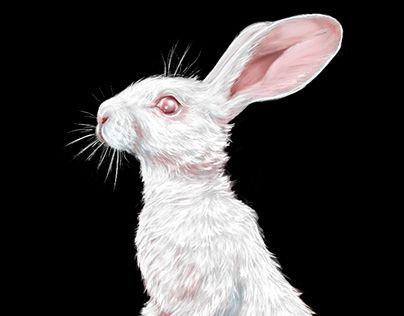 Rabbit Head Reference, White Rabbit Red Eyes, Rabbit Side Profile, Rabbit Head Drawing, Rabbit Profile, Albino Bunny, Rabbit Eyes, Rabbit Nose, Black And White Rabbit