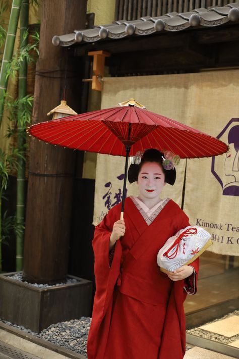 Holding Umbrella, Japanese Umbrella, Japanese Tea Ceremony, Visit Japan, Rainy Season, Kyoto Japan, Tea House, Tea Ceremony, Japanese Culture