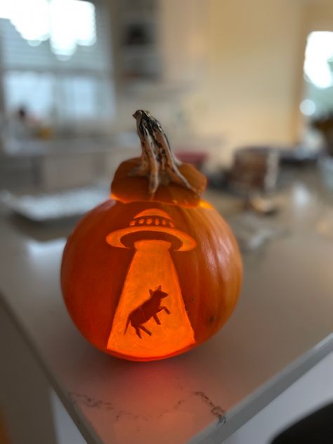 Alien pumpkin carving Halloween with an ufo picking up a cow, fall festive decor Astronaut Pumpkin Carving, Plane Pumpkin Carving, Space Themed Pumpkin Carving, Pumpkin Carving Ideas Alien, Alien Jack O Lantern, Outer Space Pumpkin Carving, Artistic Pumpkin Carving Ideas, Complicated Pumpkin Carving, Ufo Pumpkin Carving