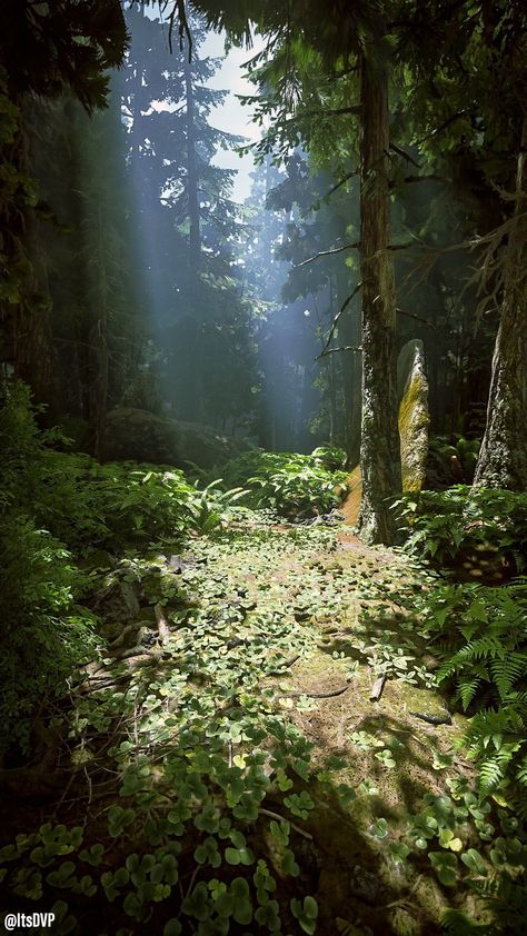 Dslr Blur Background, Faerie Aesthetic, Apocalypse Landscape, Dark Naturalism, Edge Of The Universe, Apocalypse Aesthetic, Dark Green Aesthetic, Forest Path, Magic Aesthetic