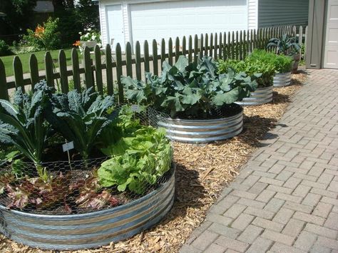 Raised Garden Around Patio, Galvanized Metal Raised Garden Beds, Carrot Bed Ideas, Vege Garden Design Raised Beds, Beautiful Front Yard Vegetable Gardens, Raised Bed Garden Ideas Galvanized Metal, Circular Raised Garden Beds, Circle Raised Garden Beds, Circle Garden Bed