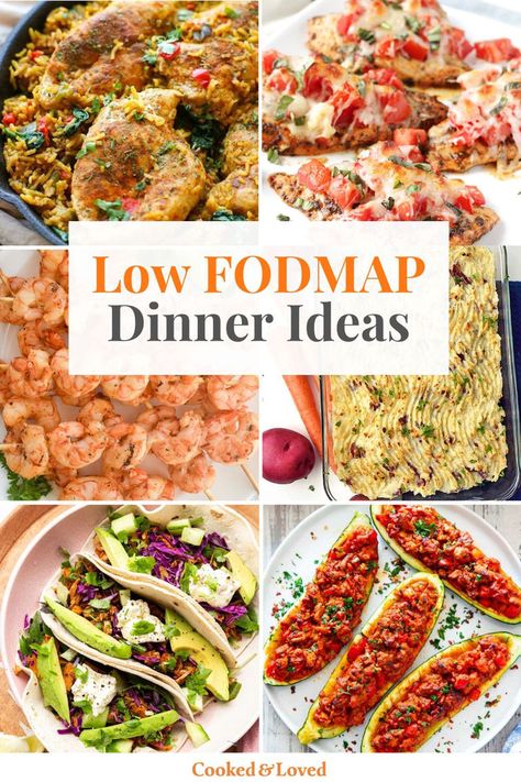 Best Low FODMAP Dinner Ideas Low Formal Diet, Low Fob Dinner, Fob Diet Recipes, Low Fodmap Meal Prep Recipes, Ibs Meal Plan Fodmap Diet, Fodmap Diet Recipes Dinners, Fodmap Diet Meal Plan, Ibs Meals Dinners, Low Food Map Meal Plan