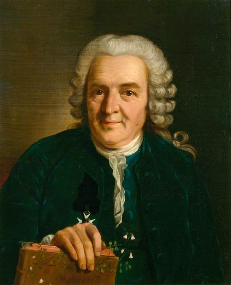 Carl von Linné (Linnaeus), famous Swedish botanist, physician and zoologist (1707-1778). The Swiss philosopher Jean-Jacques Rousseau sent him the message: "Tell him I know no greater man on earth." The German writer Goethe wrote: "With the exception of Shakespeare and Spinoza, I know no one [..] who has influenced me more strongly." U.S. news agency Time named Linnaeus the 31st most influential person in human history (wow!) and the 5th most influential scientist. Carl Linnaeus, Written By, Paintings