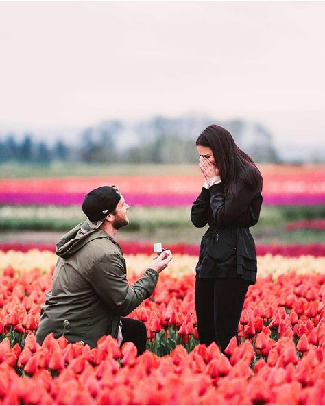 Fashion on Instagram: “The surroundings of flowers and tulips gives a romantic feel...💕 Love this amazing proposal idea 💍😍 Double Tap to Congratulate this Sweet…” Unique Proposal Ideas, Muertos Makeup, Cute Proposal Ideas, Romantic Inspiration, Unique Proposals, Proposal Pictures, Best Proposals, Wedding Diary, Proposal Photos