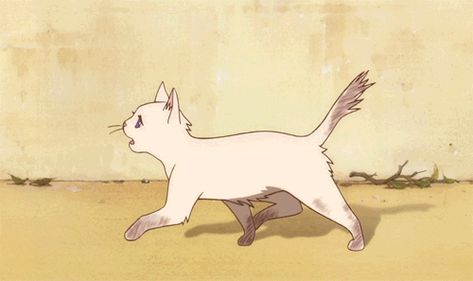 Bnha Imagines, Art Studio Ghibli, The Cat Returns, Cat Anatomy, Animation Sketches, Studio Ghibli Movies, Studio Ghibli Art, Ghibli Art, Ghibli Movies