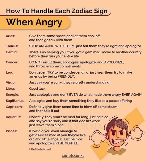 We are here to tell you if you need a shield or not. #zodiacmeme #zodiactraits Angry Aries, Taurus Journal, Japanese Names And Meanings, Stop Arguing, Astrology Signs Compatibility, Zodiac Signs Animals, Zodiac Matches, Zodiac Characteristics, Zodiac Couples