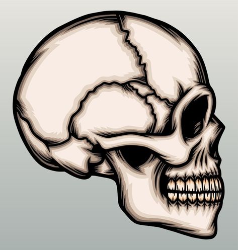 Side of human skull head. | Premium Vector #Freepik #vector #skull #face #sketch #profile Skeleton Side Profile Drawing, Side Profile Skull Tattoo, Side Profile Of Skull, Side Skull Drawing, Skull Profile Drawing, Skeleton Head Sketch, Skull Side Profile Drawing, Skeleton Side Profile, Skull Side Profile