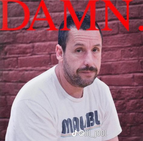 Funny Album Covers, Kendrick Lamar Funny, Adam Sandler Memes, Adam Sandler Funny, Tanka Jahari, Damn Kendrick Lamar, Kendrick Lamar Wallpaper, Kendrick Lamar Art, Kendrick Lamar Poster