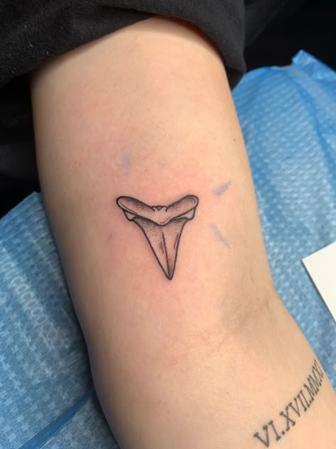 Shark Tattoo Fine Line, Small Shark Tattoo, Tattoo Shark, Shark Tattoo Ideas, Shark Tooth Tattoo, Tooth Tattoo, Shark Tattoo, Theme Tattoo, Shark Tattoos