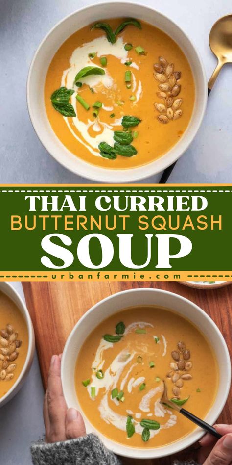 Here's an easy soup idea just right for the Fall weather! This Thia Curried Butternut Squash Soup recipe is a creamy and vegan soup with coconut milk topped with scallions and roasted squash seeds. Serve a hearty bowl of soup for a fall comfort food dinner! Squash Curry Soup Coconut Milk, Thai Curry Squash Soup, Red Curry Butternut Squash Soup, Roasted Squash Soup Coconut Milk, Coconut Curry Butternut Soup, Thai Coconut Curry Butternut Squash Soup, Butternut Squash Curry Soup Recipes, Butternut Squash Thai Soup, Curry Squash Soup With Coconut Milk