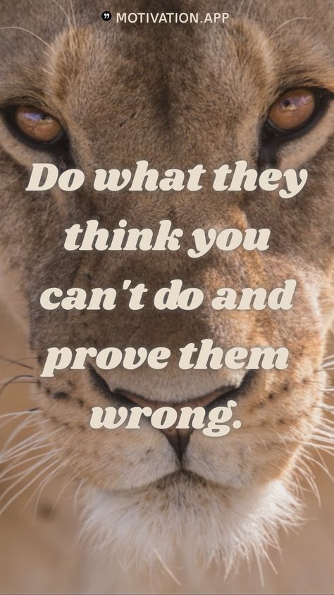 Prove Them Wrong Quotes, Risk Quotes, Judah And The Lion, Wrong Quote, Tough Times Dont Last, Team Building Quotes, Prove Them Wrong, Motivation App, Honest Quotes