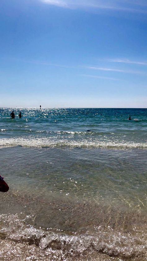 Clear Water Florida, Clearwater Beach Florida, Water Pictures, Clearwater Florida, Clearwater Beach, Food Obsession, Beach Florida, Clear Water, Florida