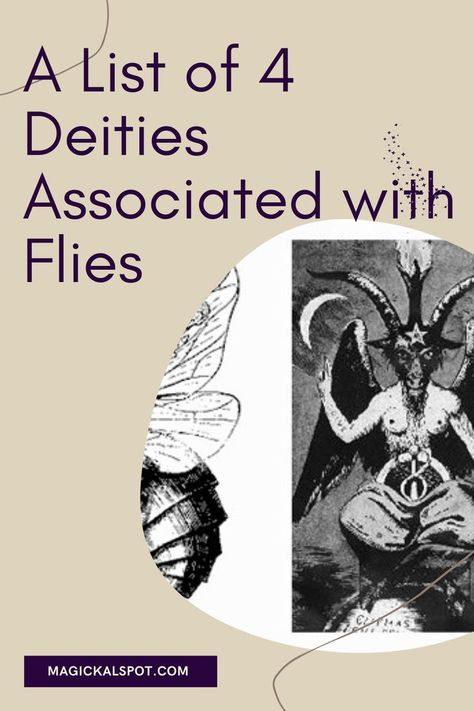 In this article, we'll learn more about the 4 Deities That are Associated with Flies and why are they connected with this animal. Gods Goddesses, The 4, Bugs, Insects, Bugs And Insects