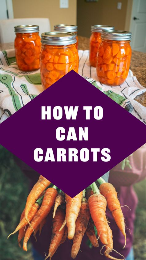 Learn the basics of canning carrots and enjoy fresh flavor all year round! Easy steps, tips, and recipe ideas inside. 🌿🥕 #CanningCarrots #PreserveYourHarvest Dry Canning Carrots, Canning Carrots Recipes, Water Bath Canning Recipes Carrots, Preserving Carrots From Garden, Canning Carrots Water Bath, Water Bath Carrot Canning, How To Preserve Carrots From The Garden, Preserving Carrots, Canning Carrots