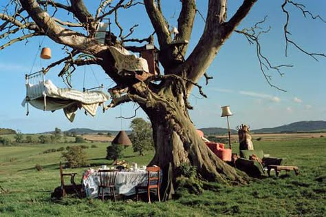 Escapism Art, Princess On The Pea, Tim Walker Photography, Living In The Woods, Hidden Ny, Surreal Places, Big Tent, Northumberland England, Halfway House