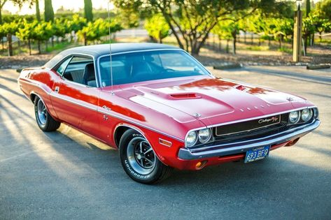 70 Dodge Challenger 383 Magnum Challengers Dodge, Dodge Challenger 1970, Detroit Cars, 1970 Challenger, Dodge Muscle Cars, Mopar Muscle Cars, Car Artwork, Mopar Muscle, Pony Car