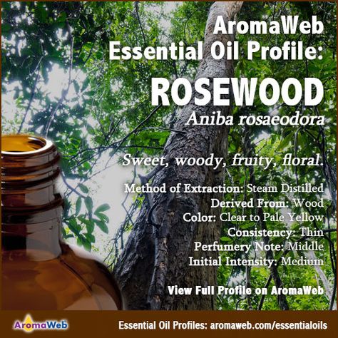 Rosewood Essential Oil Profile Rosewood Essential Oil Benefits, Rosewood Essential Oil, Herb Diy, Essential Oils Health, What To Watch, Essential Oil Benefits, Young Living Oils, Oil Benefits, Insect Bites